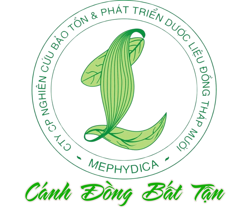 Khu Du Lịch Cánh Đồng Bất Tận